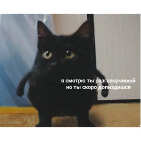 Набор 1 — стикер для MAX