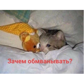 Набор 1 — стикер для MAX