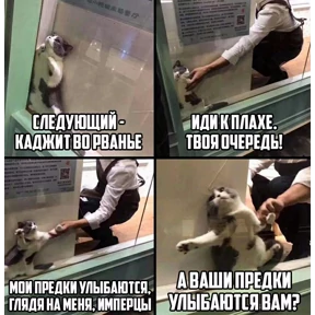 Набор 1 — стикер для MAX
