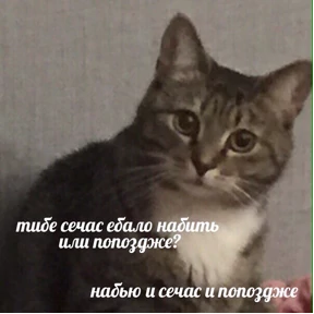 Набор 1 — стикер для MAX
