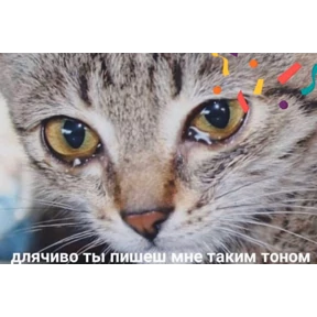 Набор 1 — стикер для MAX