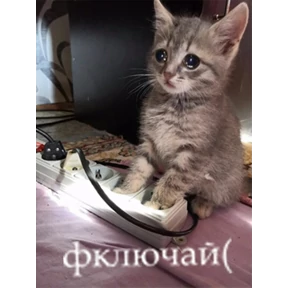 Набор 1 — стикер для MAX