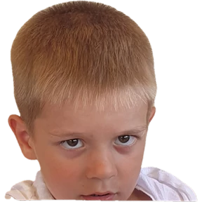 Коломиец — стикер для MAX