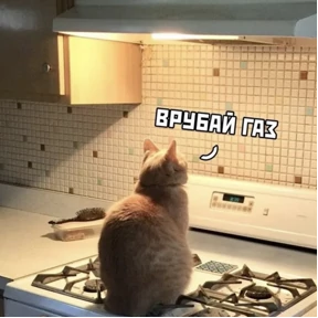 Шабаш — стикер для MAX