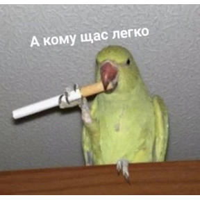 Сашин эксклюзивный — стикер для MAX
