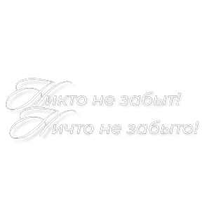 "Чернецова Галина"День Победы — стикер для MAX