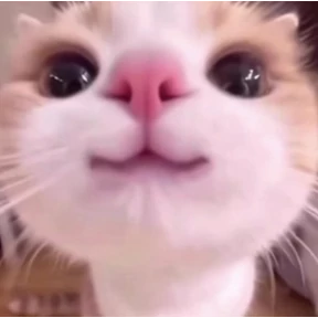 Йойй — стикер для MAX