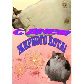 День дня — стикер для MAX
