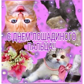 День дня — стикер для MAX