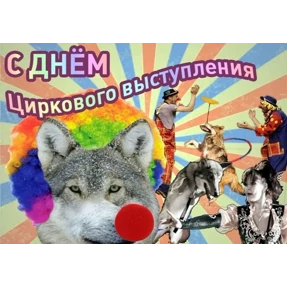 День дня — стикер для MAX