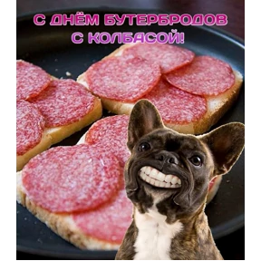 День дня — стикер для MAX