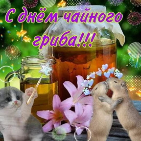 День дня — стикер для MAX