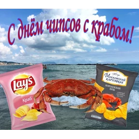 День дня — стикер для MAX