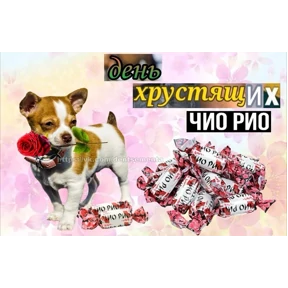День дня — стикер для MAX