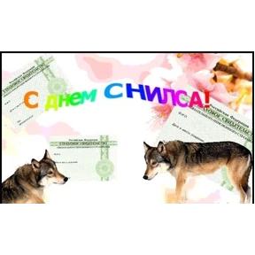 День дня — стикер для MAX