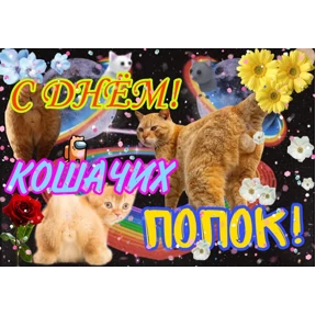 День дня — стикер для MAX