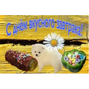 День дня — стикер для MAX