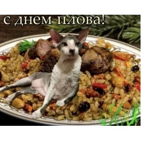 День дня — стикер для MAX