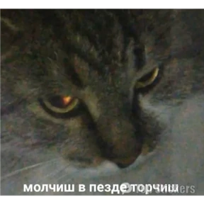 New — стикер для MAX