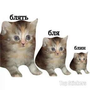 New — стикер для MAX