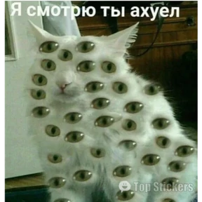 New — стикер для MAX