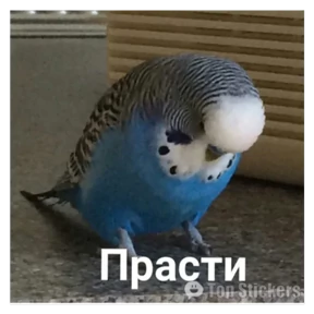 New — стикер для MAX