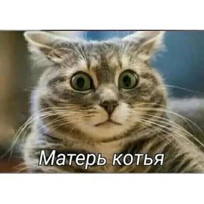 Так и живём — стикер для MAX