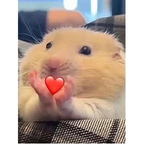 Лю лю) — стикер для MAX