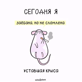 Хаюшки — стикер для MAX