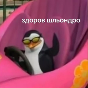 Хаюшки — стикер для MAX