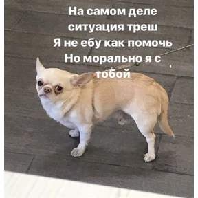 Хаюшки — стикер для MAX