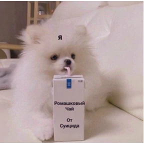 Хаюшки — стикер для MAX