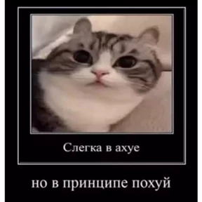 Современные стикеры — стикер для MAX