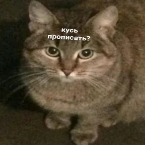 Современные стикеры — стикер для MAX