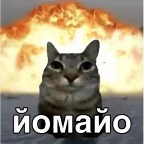 Современные стикеры — стикер для MAX