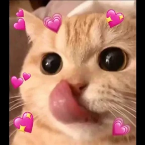 Пупупу — стикер для MAX