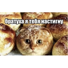 Ць — стикер для MAX