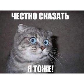 Ць — стикер для MAX