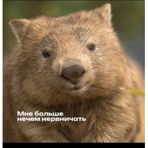 Уло, перезвони мне — стикер для MAX
