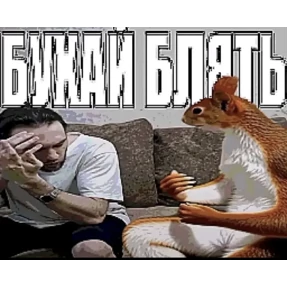 Львята — стикер для MAX