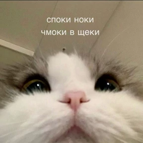 Стики — стикер для MAX