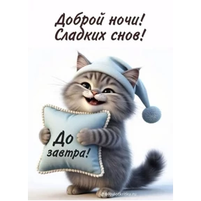 Доброй ночи — стикер для MAX