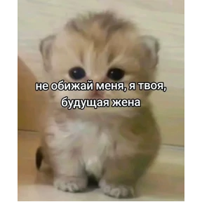 Бе — стикер для MAX
