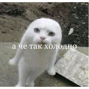 Бе — стикер для MAX