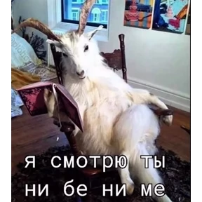 Топ — стикер для MAX