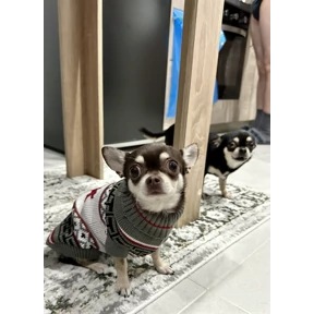 Моё — стикер для MAX