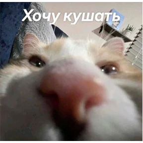 Стикеры 2 — стикер для MAX