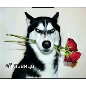 Стикеры 2 — стикер для MAX