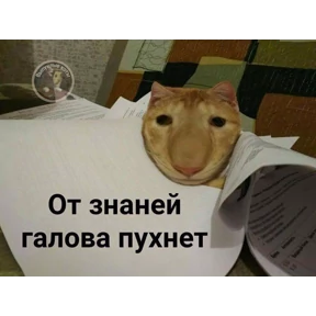 ам — стикер для MAX