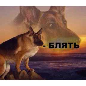 ам — стикер для MAX